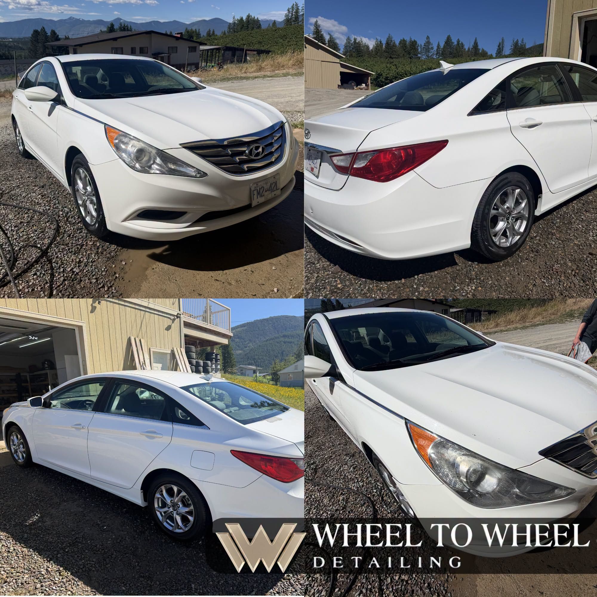 Machine polishing during paint correction — Creston BC
